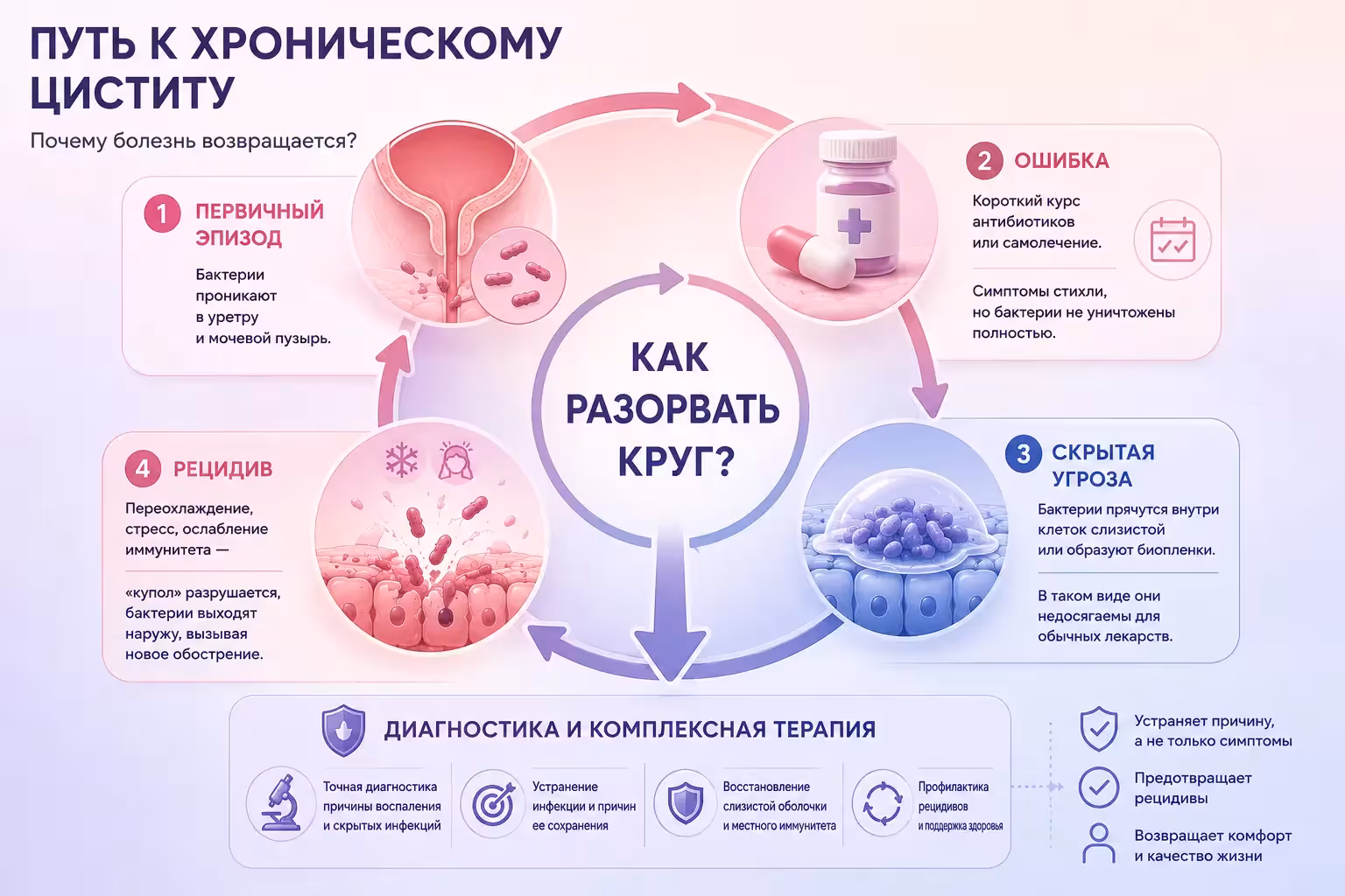 Почему цистит возвращается: инфографика о причинах хронизации инфекции мочевых путей